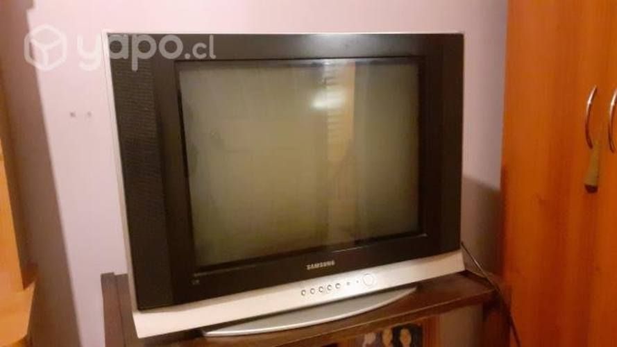 Televisor