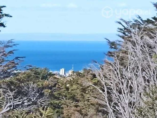 Clases presenciales de inglés básico