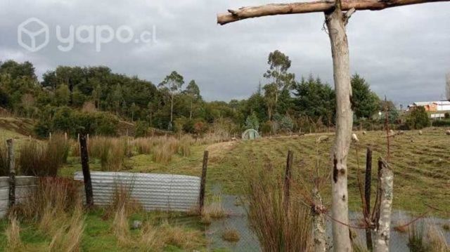 Parcela en Chiloé