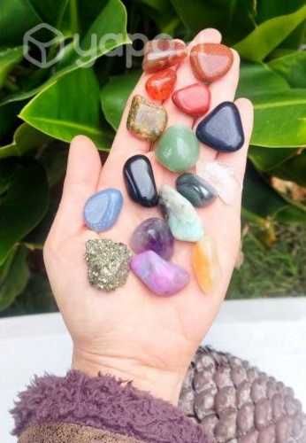 Set Gemoterapia 17 Piedras + Madera + Puntas