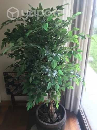 Planta artificial Ficus 140 cm
