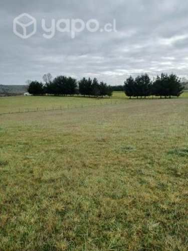 4 hct en Maipue- Concordia, Purranque