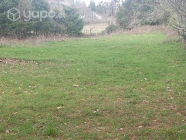 Se vende parcela de media hectárea precio conversa