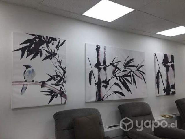 Cuadros Tríptico decorativos