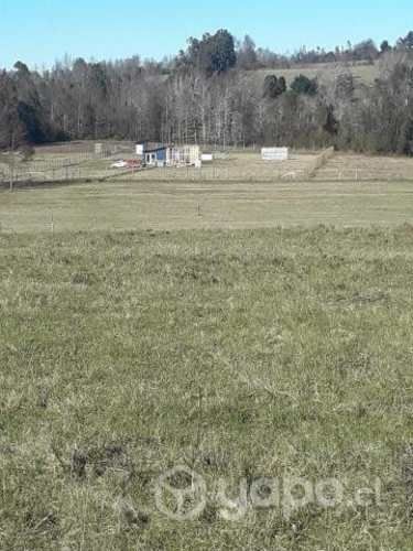 Parcela camino a gorbea sexta faja 5000mt2