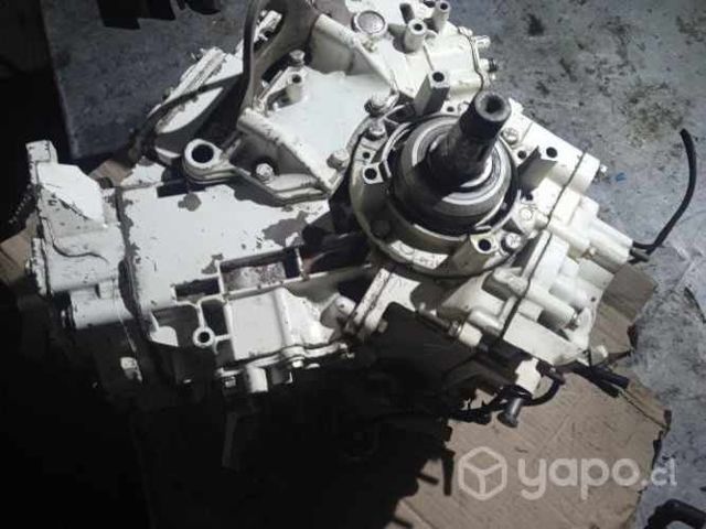 Cabeza de fuerza motor Johnson 115 HP