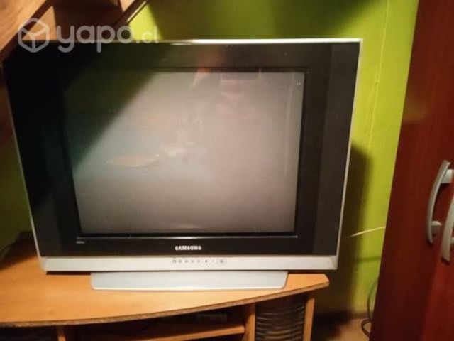 Televisor