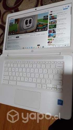 Notebook hp google