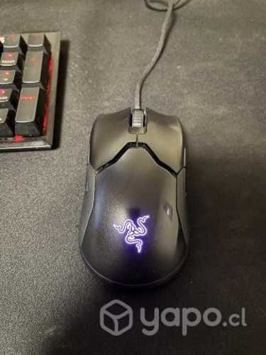 Mouse Razer Viper + bungee