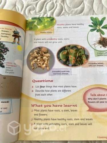 Texto inglés ciencias Cambridge Primary