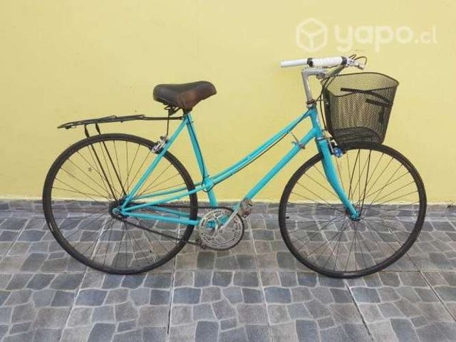 Bicicleta paseo