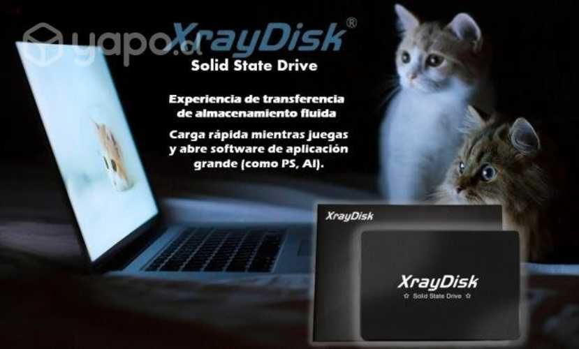 Disco Duro SSD XrayDisk 480GB