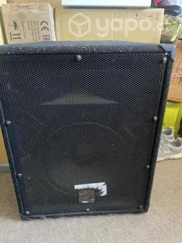 Parlante pasivo profesional