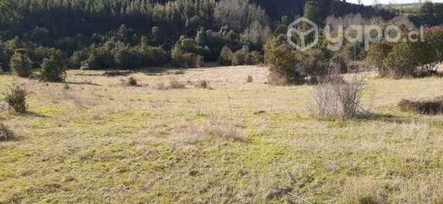 Venta o permuta 1,02 ha Río negro