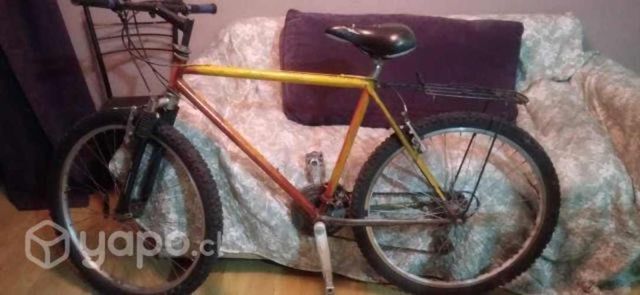 Bici por maipú