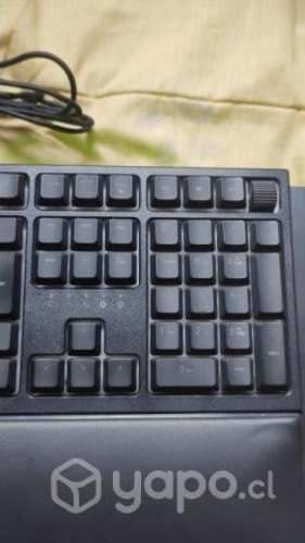 Teclado Razer Ornata V2
