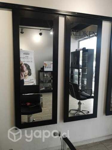 Muebles e insumos peluqueria