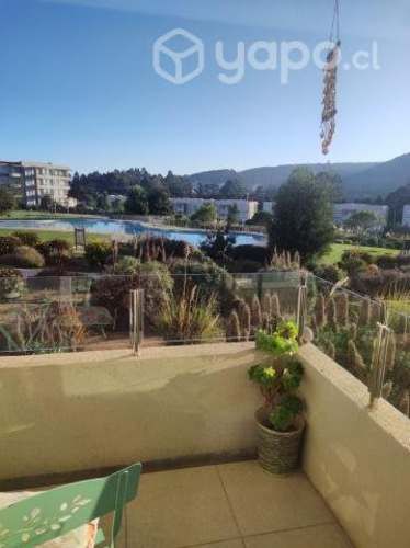 Arriendo depto en papudo. Condominio Lomas 4