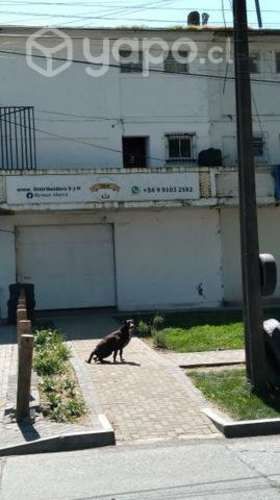 Propiedad en Concepción