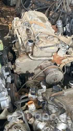 Motores Terrano japonés