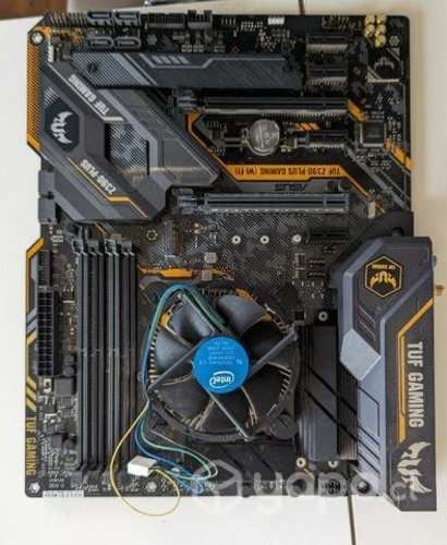 Placa madre + procesador