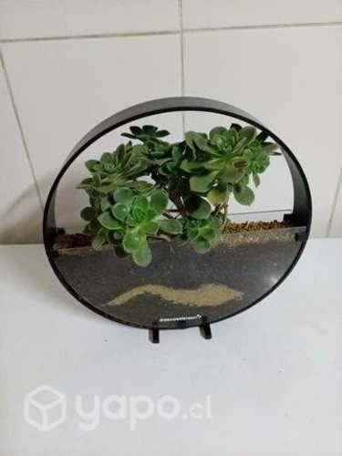 Artesanías en acero suculenta