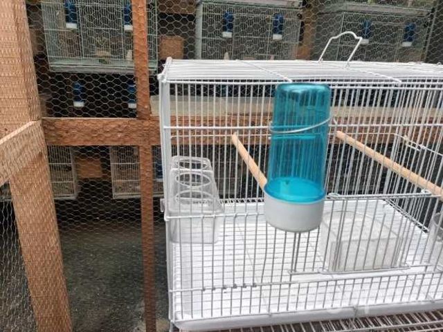 Jaulas largo 46 alto 32 ancho 32