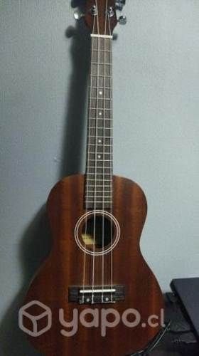 Ukulele con su funda