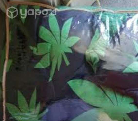 Cobertor cannabis 2p