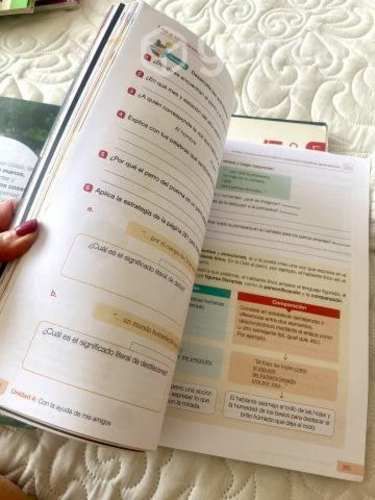 2 Textos lenguaje Santillana 5to Básico