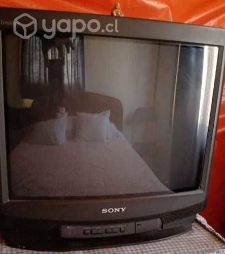 Televisor
