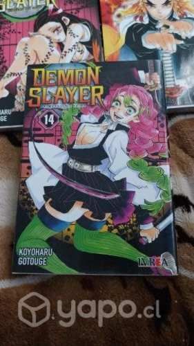 Demon slayer Tomo 14
