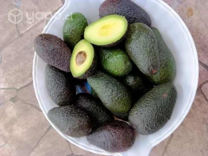 Palta hass