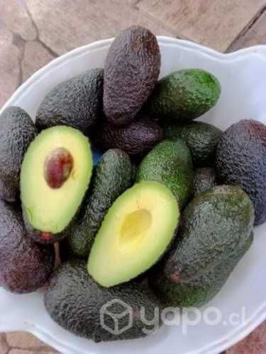 Palta hass