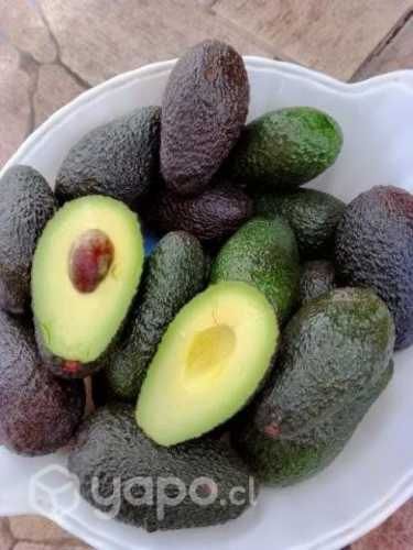 Palta hass