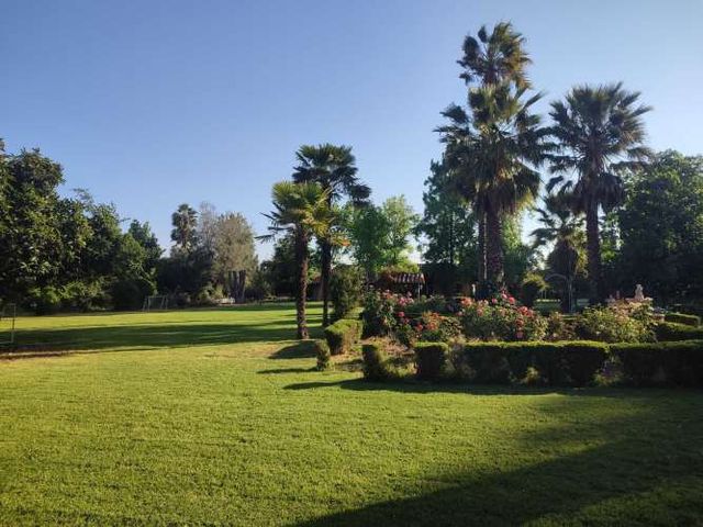 Arriendo Parcela Chicureo: Eventos, Paseos, Parrilla, Campo
