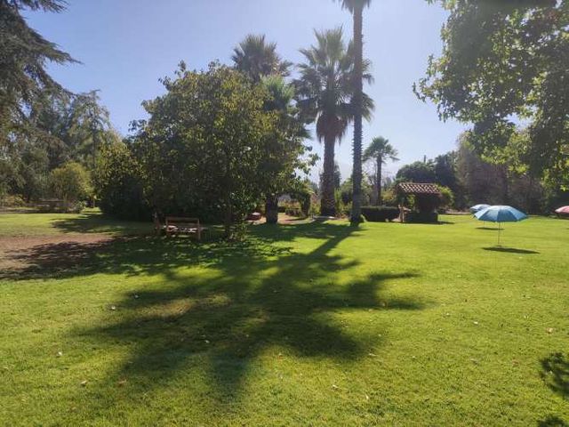 Arriendo Parcela Chicureo: Eventos, Paseos, Parrilla, Campo