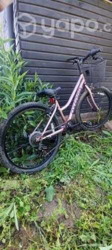 Bicicleta Oxford Luna Aro 24