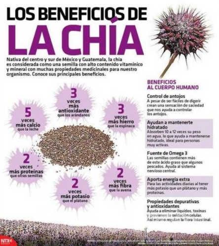 Harina de Chia 1 kilo
