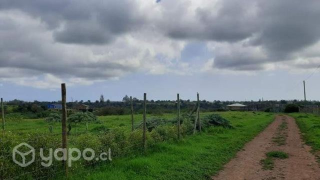 Hermosa parcela aledaña a reserva El Yali