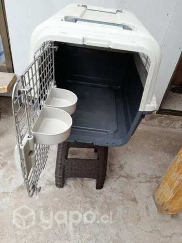 Jaula perro