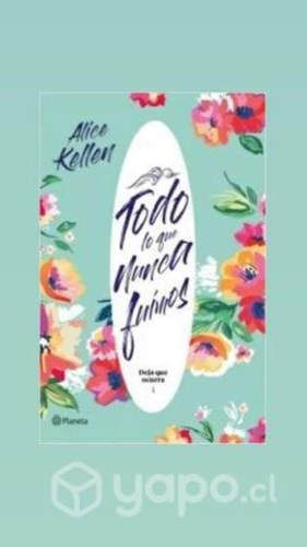 Todo lo que Nunca Fuimos Alice Kellen