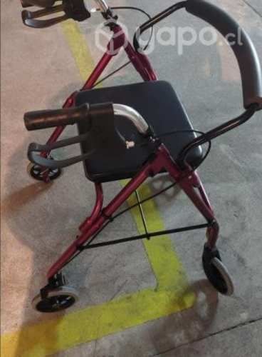 Silla ruedas carrito