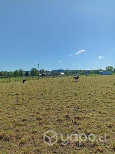 Vendo Hermosa parcela con proyecto de casa