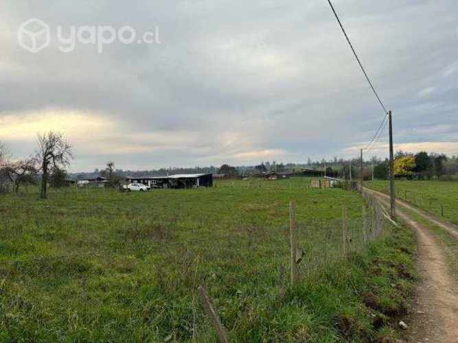 terrero Sector Robles de Pilauco