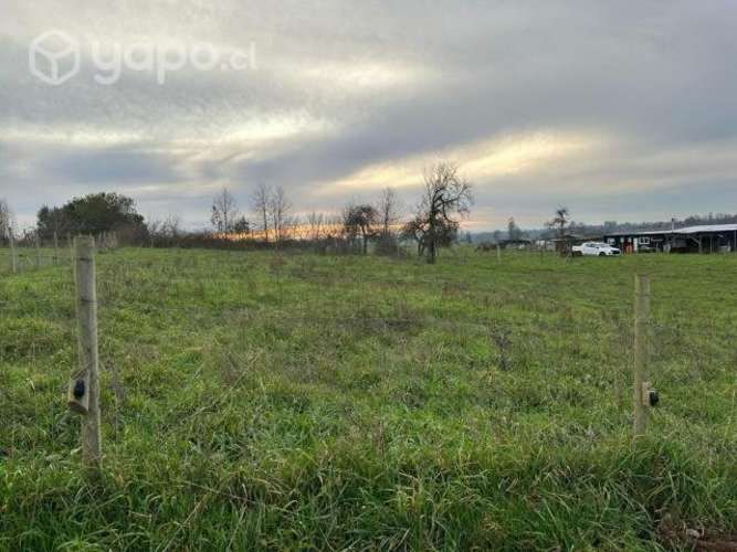 terrero Sector Robles de Pilauco