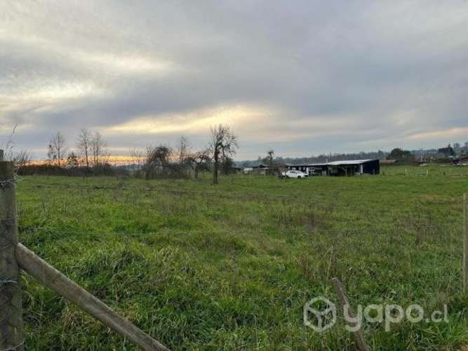 terrero Sector Robles de Pilauco