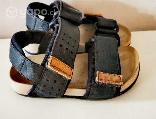 Chalas Niño, Colloky, Talla 20