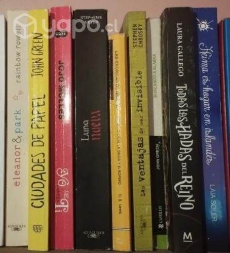 Lote libros juveniles