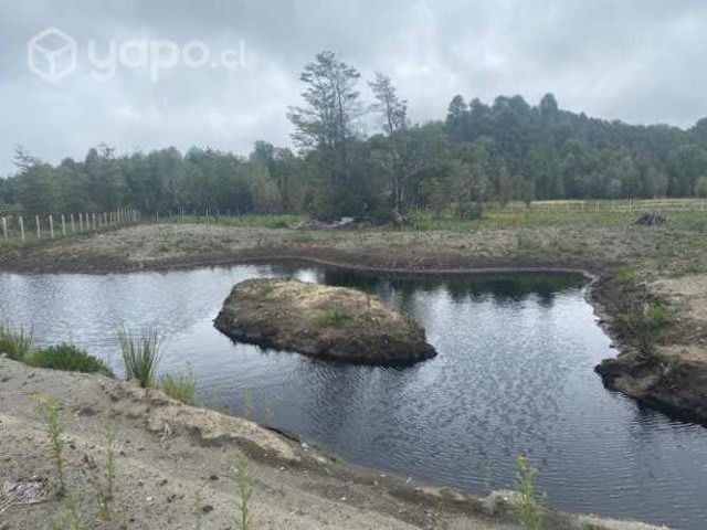 Parcela Media Hectárea - Dalcachue, Isla de Chiloé